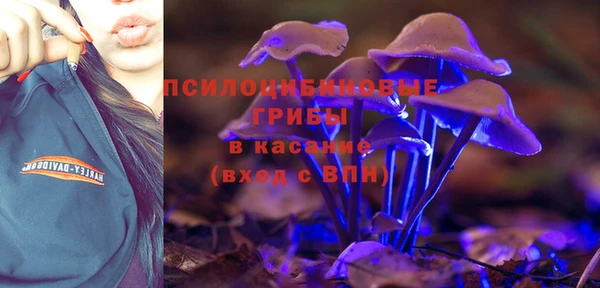 герыч Алексин