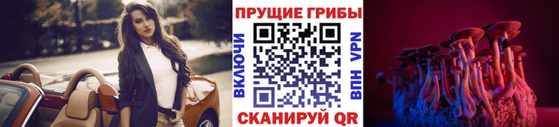 Галлюциногенные грибы прущие грибы  дарк нет какой сайт  Нефтекумск 