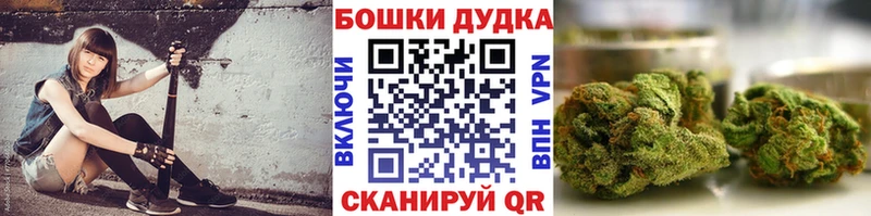 Канабис SATIVA & INDICA hydra как войти Нефтекумск купить закладку